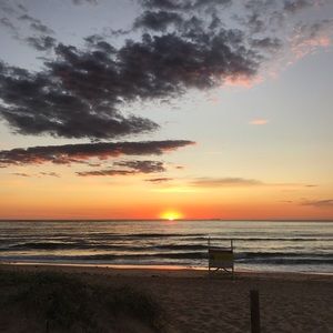 Meet your Posher, Anika